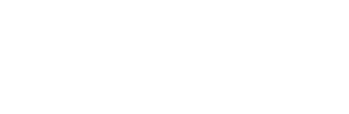 BNTS Logo